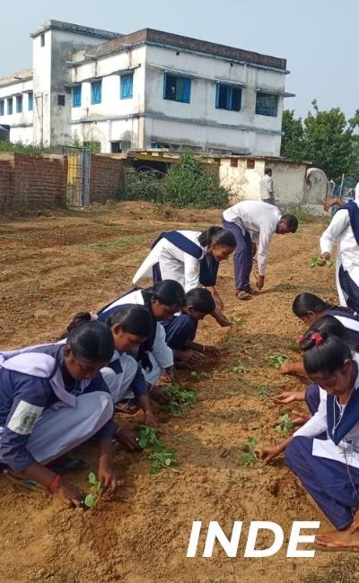 Projet-2025-Inde_PEED Projet en Inde